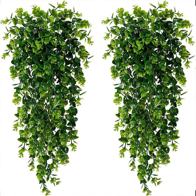 EucaGreen Hanging Vine