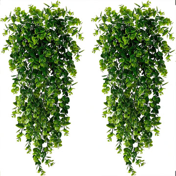 EucaGreen Hanging Vine