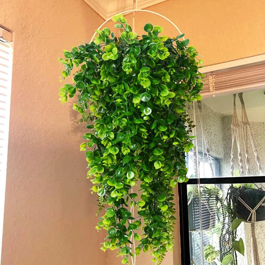 EucaGreen Hanging Vine